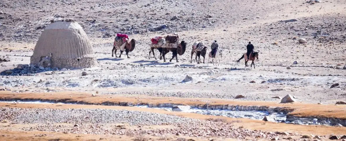 A caravan of camels crossing the high Pamir plateau past a domed shrine